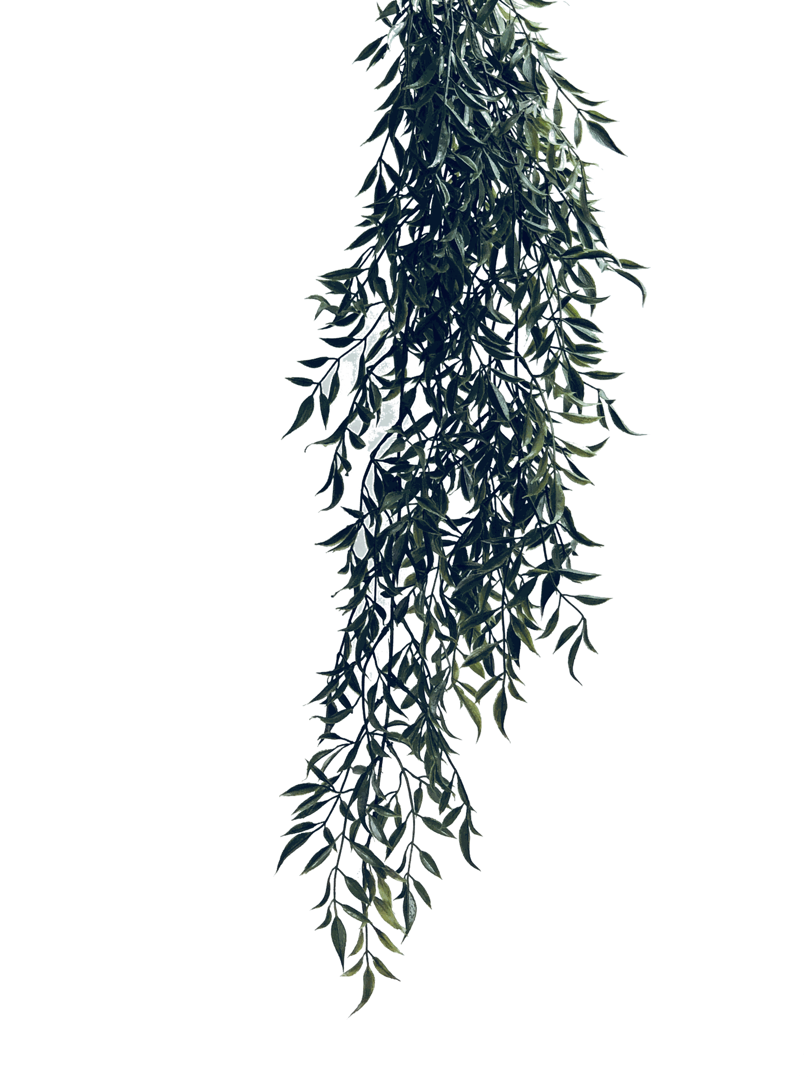 RP-021