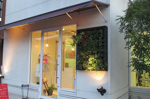 壁面緑化 【 屋外:カセット式壁面パネル使用 】 39の施工写真3