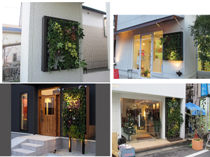 壁面緑化【屋外:カセット式壁面パネル使用】39の施工写真