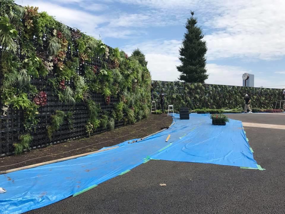 壁面緑化 【 屋外:カセット式壁面パネル使用 】 58の施工写真4
