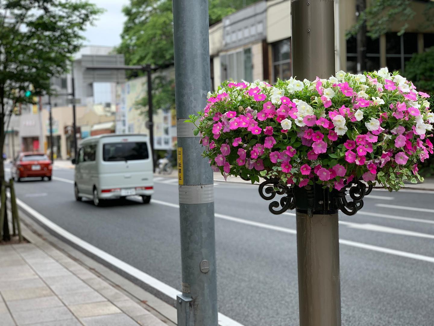 立体花壇 66の施工写真3