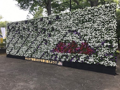 レンタル 104の施工写真2