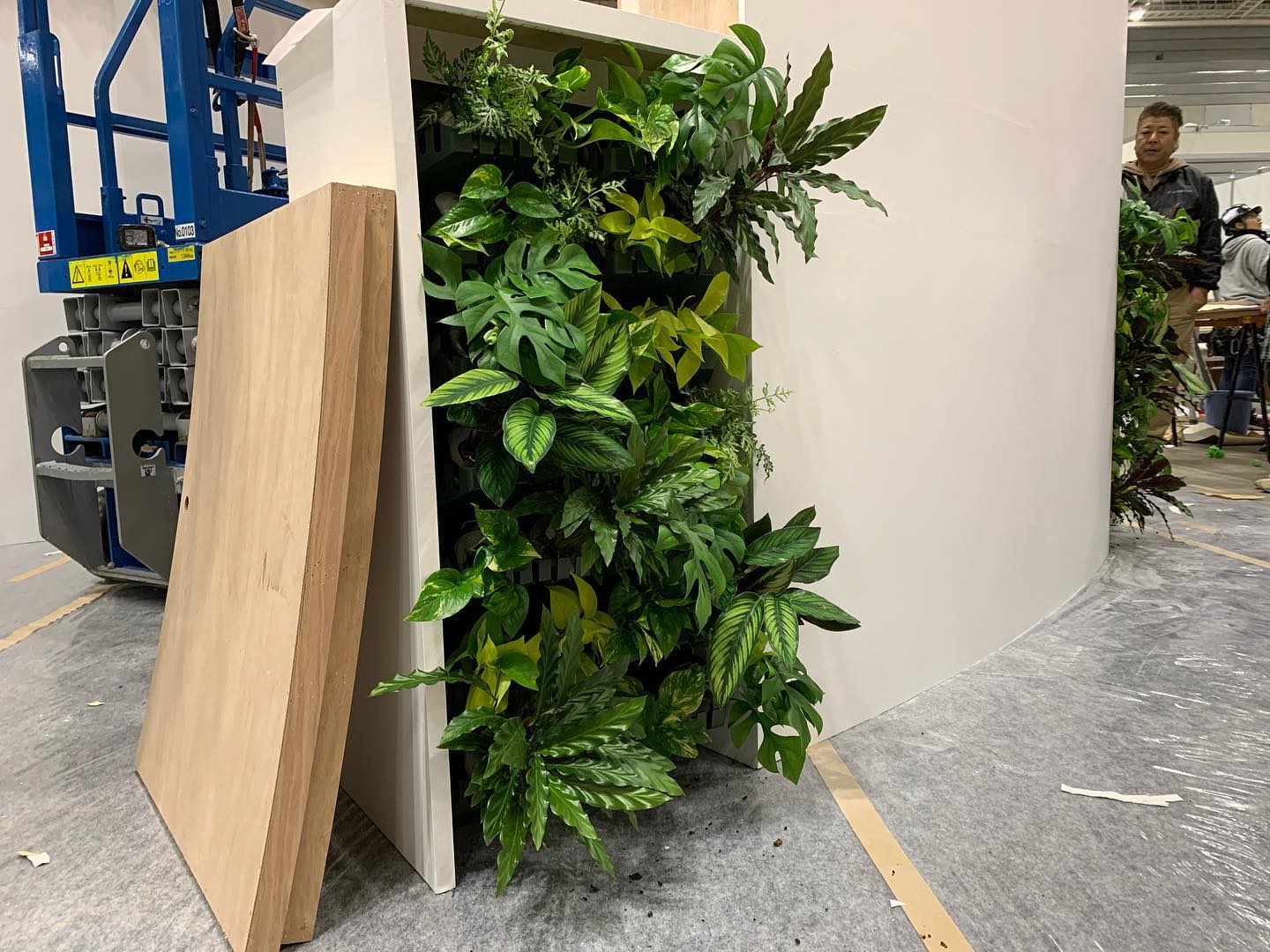 壁面緑化 【 屋内:プラティコ式壁面緑化パネル使用 】 103の施工写真4
