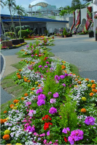 立体花壇 74の施工写真4