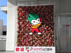 ハンギングバスケット77の施工写真