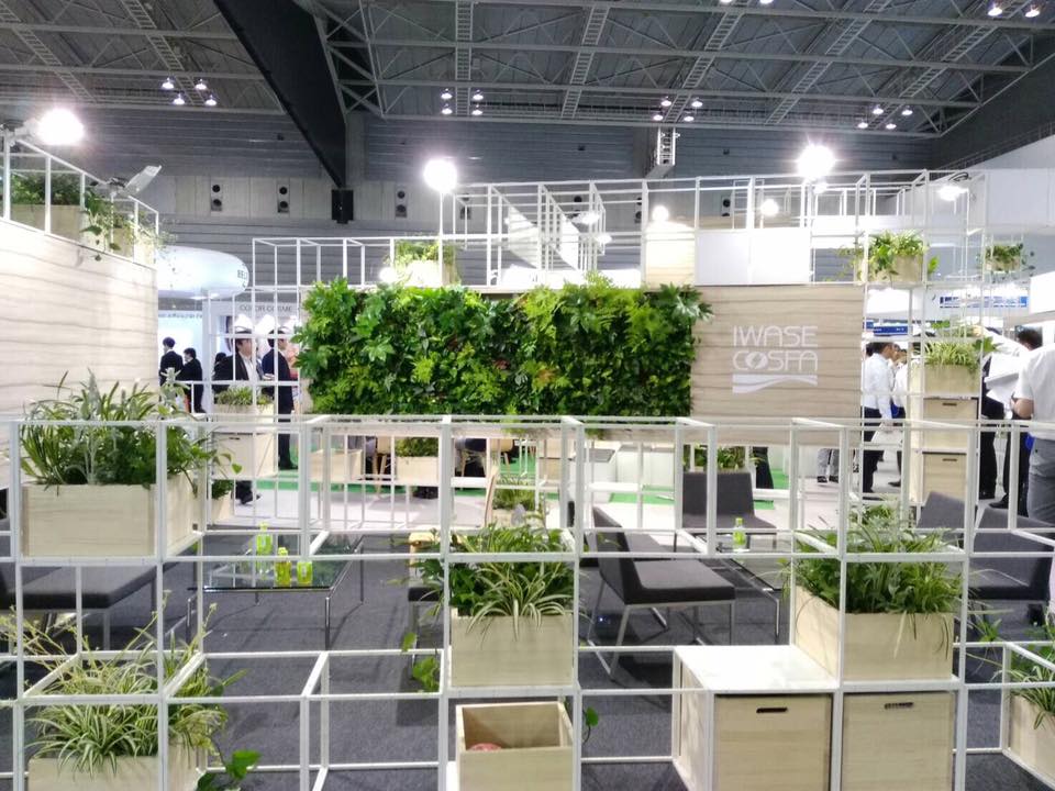 壁面緑化 【 屋内:プラティコ式壁面緑化パネル使用 】 142の施工写真4
