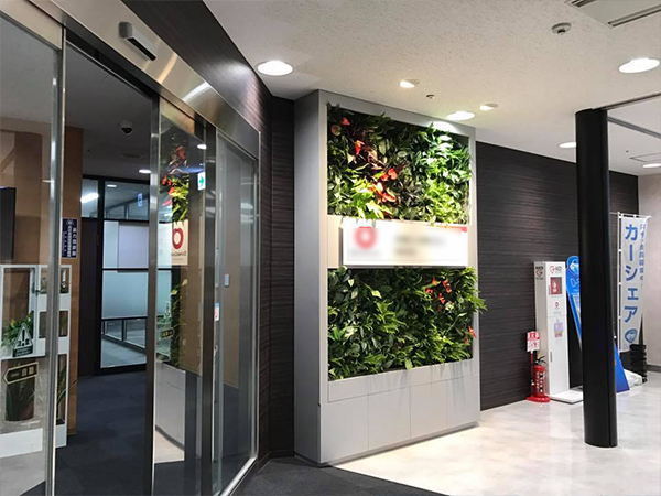壁面緑化【屋内:プラティコ式壁面緑化パネル使用】145の施工写真