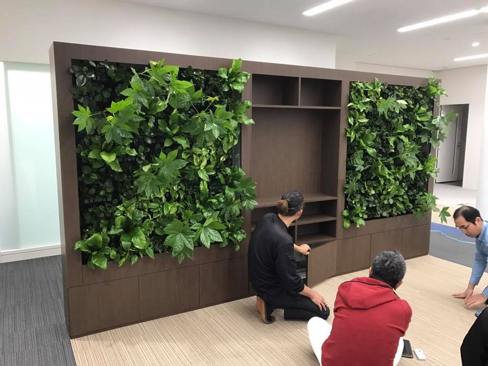 壁面緑化 【 屋内:プラティコ式壁面緑化パネル使用 】 146の施工写真3