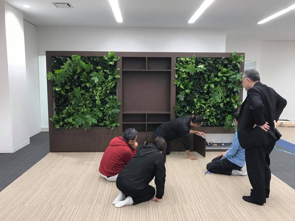 壁面緑化 【 屋内:プラティコ式壁面緑化パネル使用 】 146の施工写真4