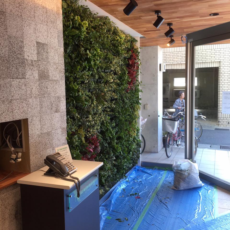壁面緑化 【 屋内:プラティコ式壁面緑化パネル使用 】 154の施工写真5