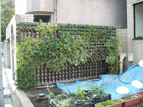 壁面緑化【屋外:カセット式壁面パネル使用】96の施工写真