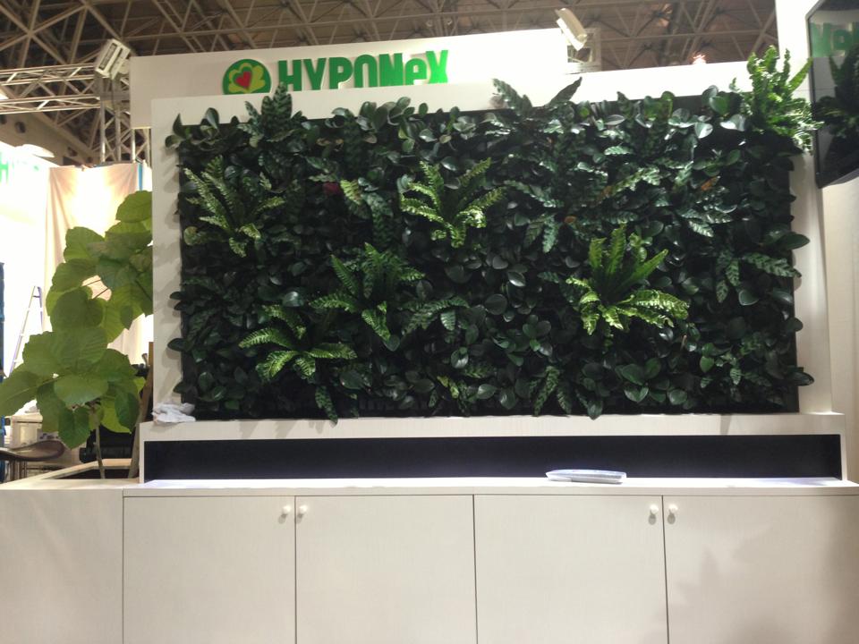 壁面緑化【屋内:プラティコ式壁面緑化パネル使用】173の施工写真