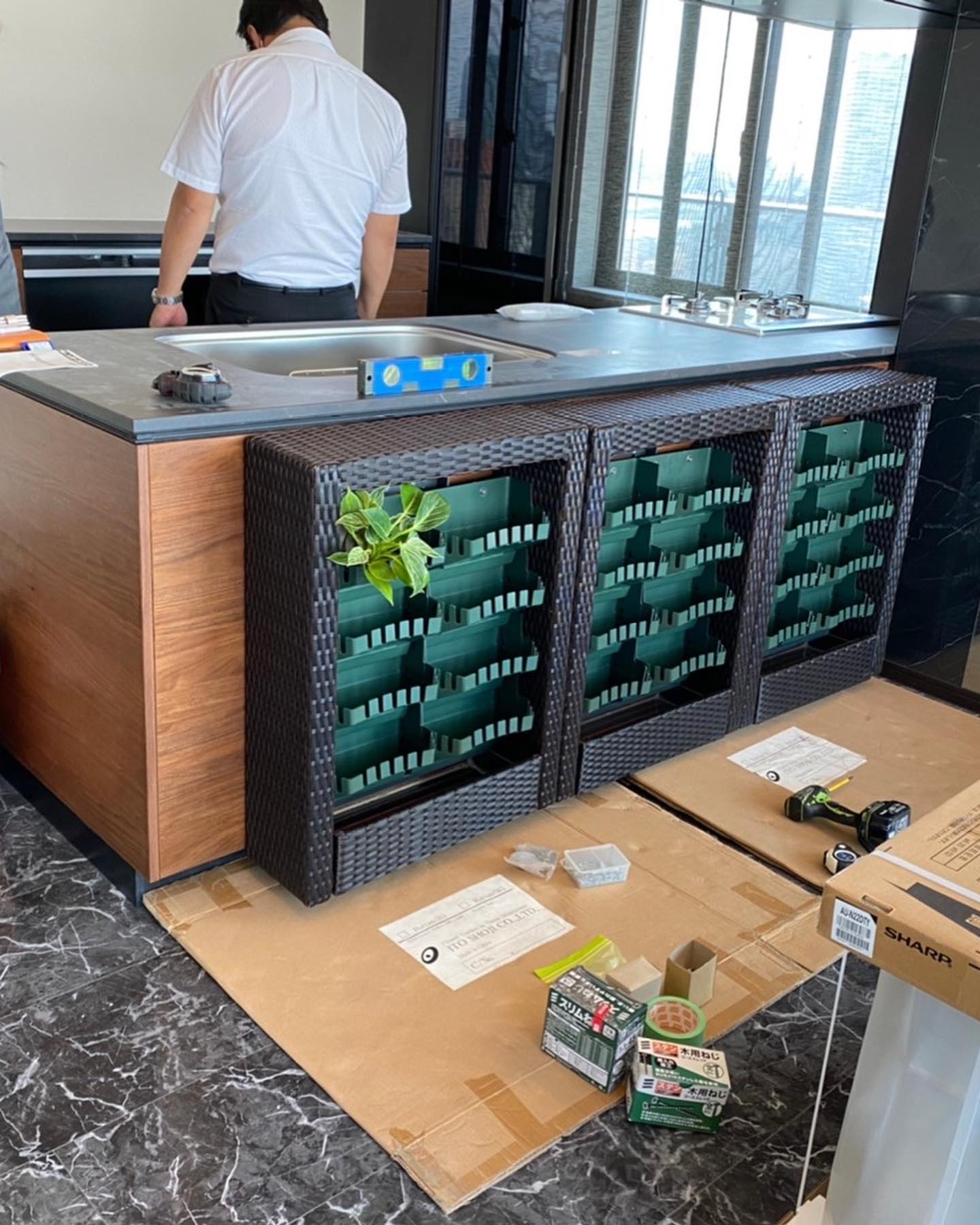 壁面緑化 【 屋内:プラティコ式壁面緑化パネル使用 】 160の施工写真6