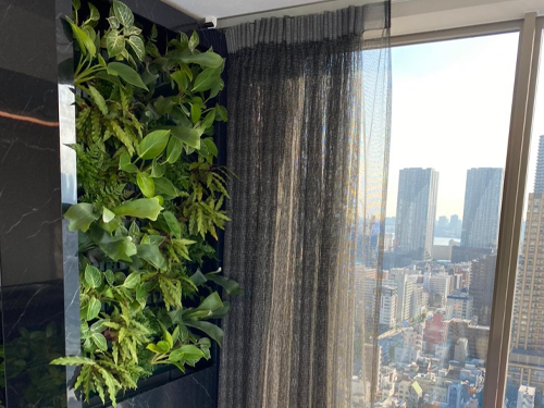 壁面緑化【屋内:プラティコ式壁面緑化パネル使用】160の施工写真