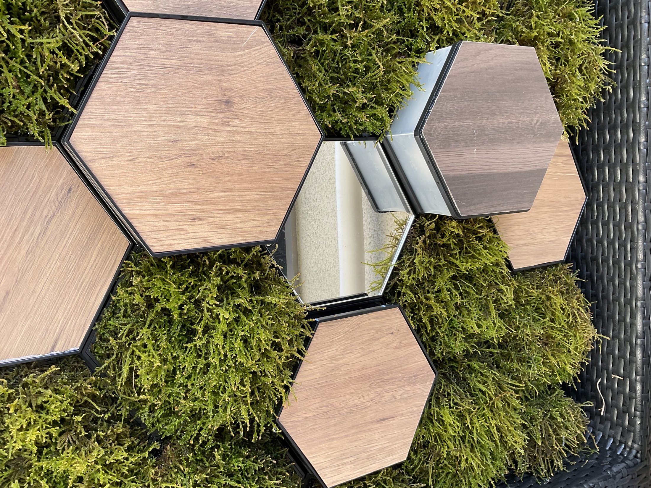 PLUSS MOSS 【天然苔】1の施工写真7
