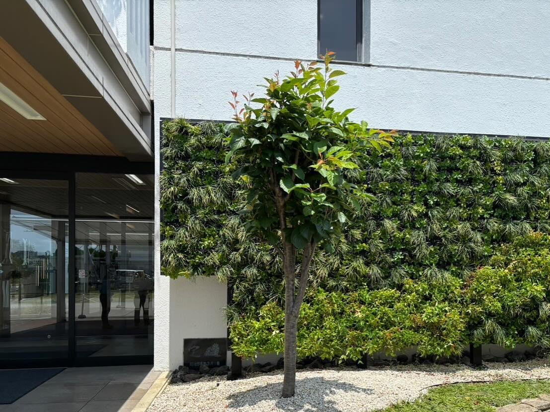 壁面緑化【屋外:カセット式壁面パネル使用】132の施工写真