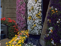 立体花壇18の施工写真