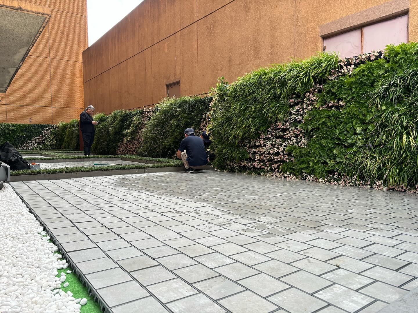 壁面緑化 【 屋外:カセット式壁面パネル使用 】 134の施工写真3