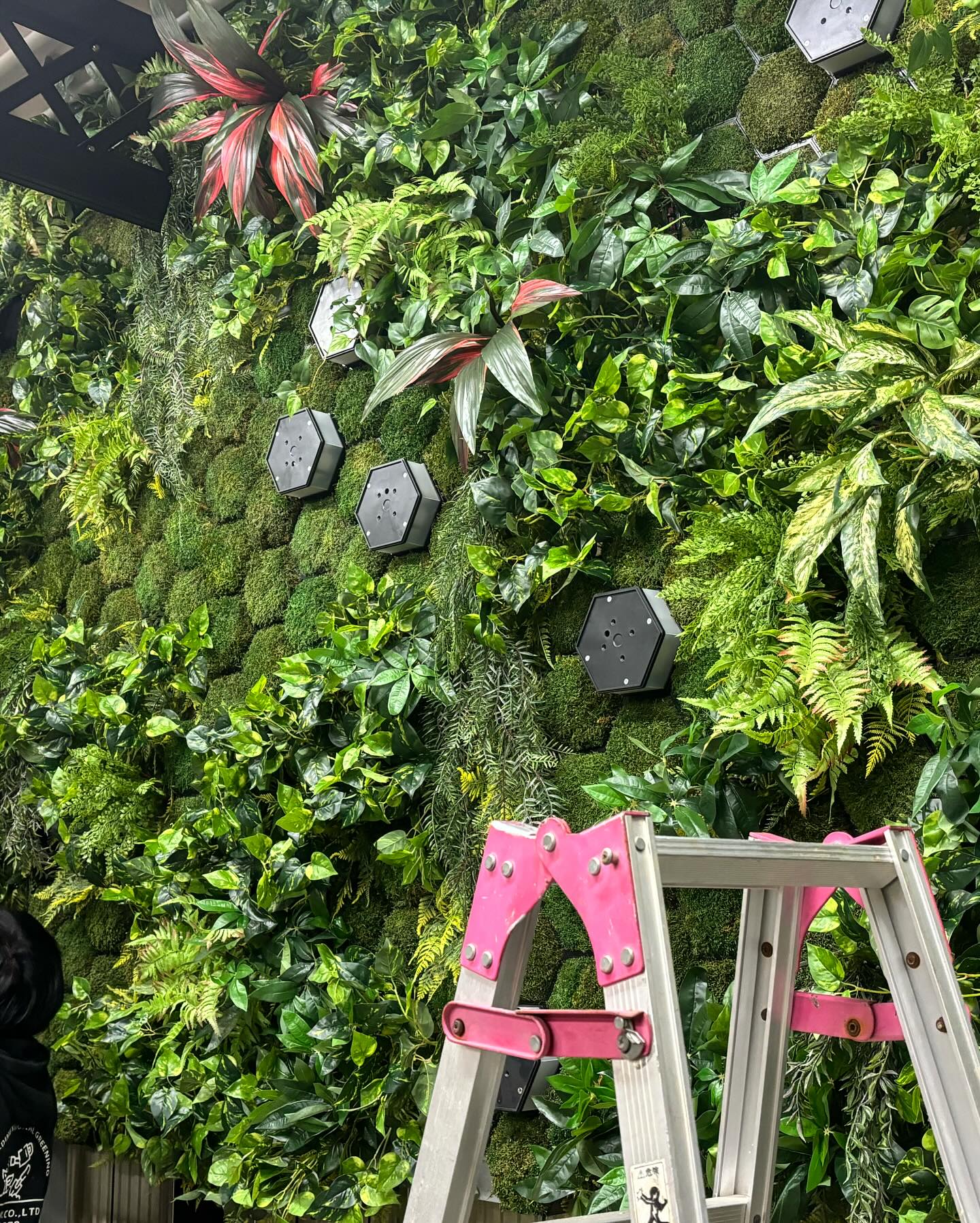 PLUSS MOSS 【人工苔】2の施工写真3