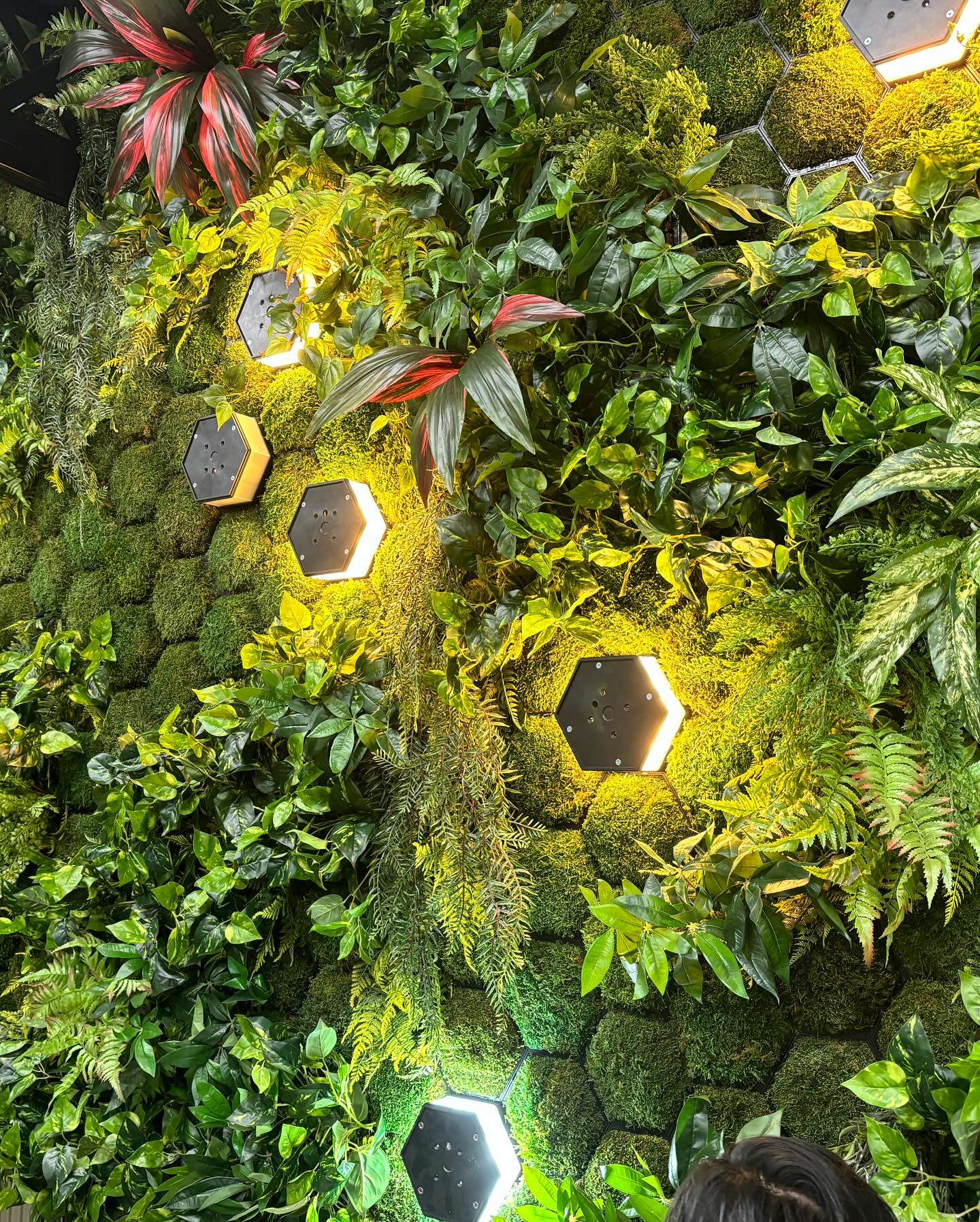PLUSS MOSS 【人工苔】2の施工写真4