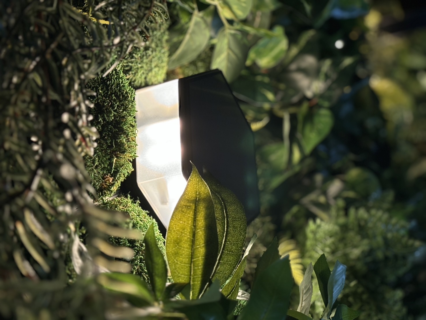 PLUSS MOSS 【人工苔】2の施工写真5