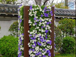 レンタル38の施工写真