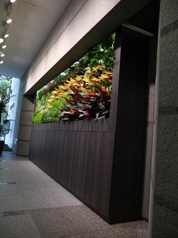 壁面緑化 【 屋内:プラティコ式壁面緑化パネル使用 】 3の施工写真5