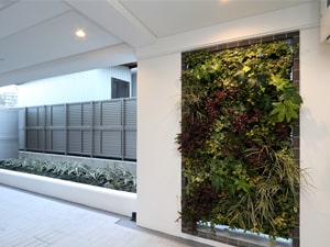 壁面緑化【屋内:プラティコ式壁面緑化パネル使用】11の施工写真