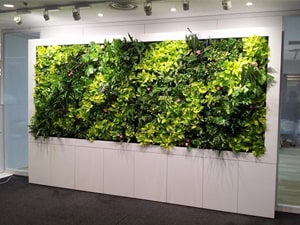 壁面緑化【屋内:プラティコ式壁面緑化パネル使用】16の施工写真