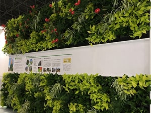 壁面緑化【屋内:プラティコ式壁面緑化パネル使用】19の施工写真