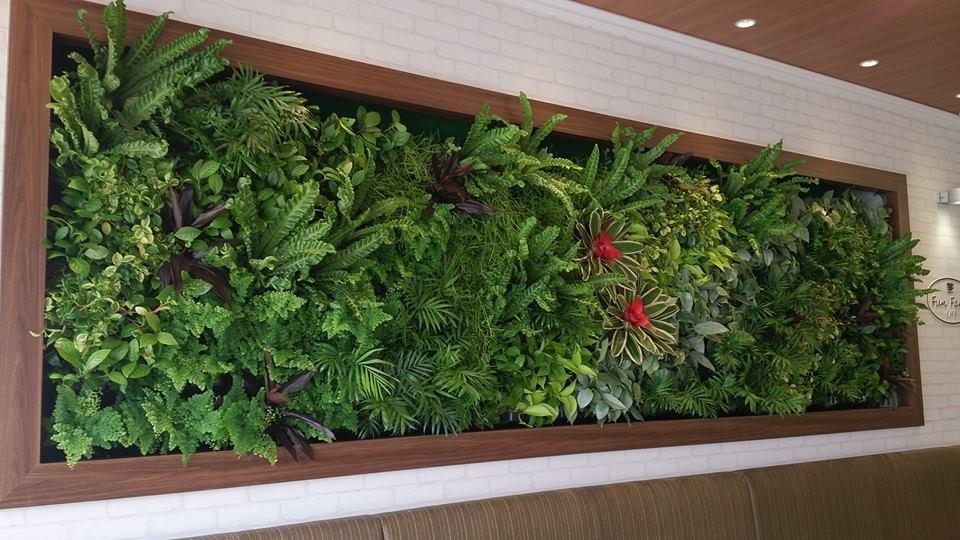 壁面緑化 【 屋内:プラティコ式壁面緑化パネル使用 】 23の施工写真4