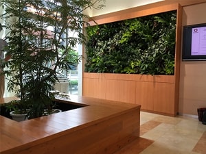 壁面緑化【屋内:プラティコ式壁面緑化パネル使用】29の施工写真