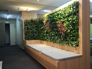 壁面緑化【屋内:プラティコ式壁面緑化パネル使用】31の施工写真