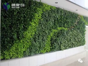 壁面緑化【屋内:プラティコ式壁面緑化パネル使用】39の施工写真