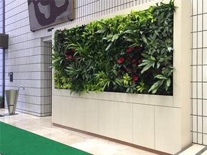 壁面緑化【屋内:プラティコ式壁面緑化パネル使用】63の施工写真