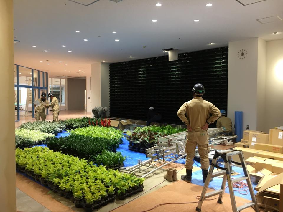 壁面緑化 【 屋内:プラティコ式壁面緑化パネル使用 】 69の施工写真5