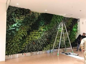 壁面緑化【屋内:プラティコ式壁面緑化パネル使用】69の施工写真