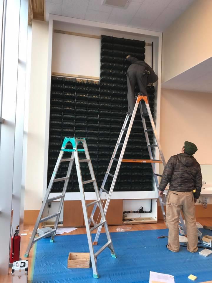 壁面緑化 【 屋内:プラティコ式壁面緑化パネル使用 】 71の施工写真2